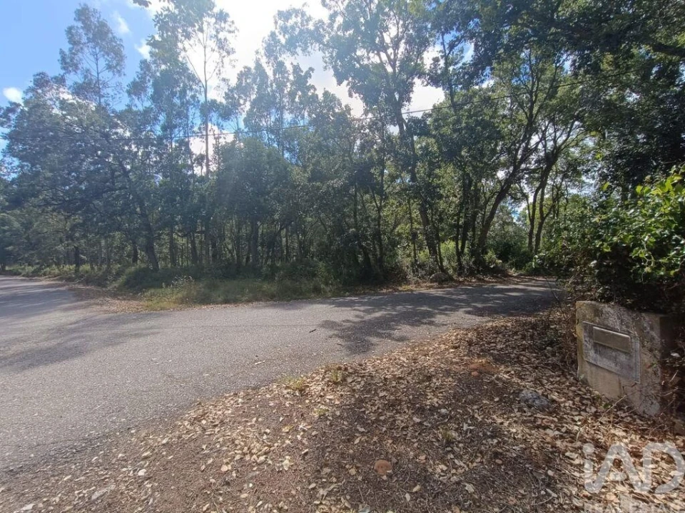 Terreno para Venda em Alcobaça e Vestiaria Foto 24