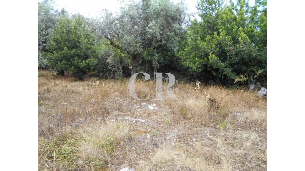 Terreno para Venda em Santiago da Guarda Foto 6