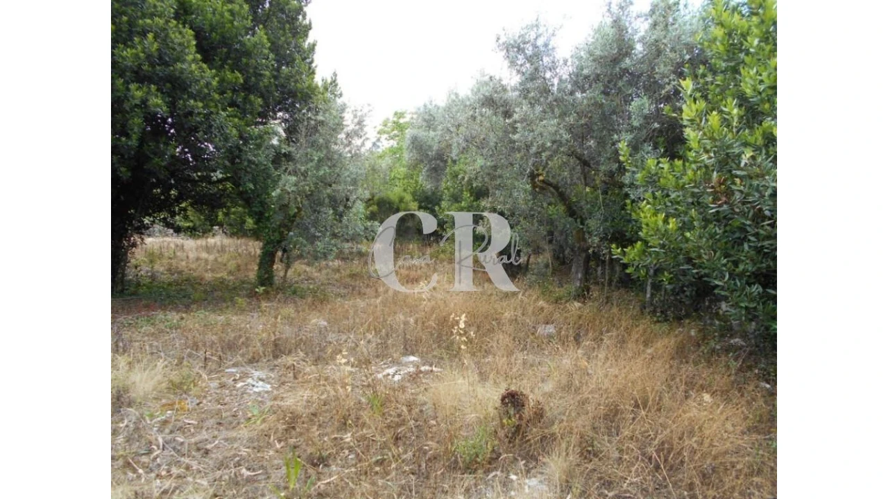 Terreno para Venda em Santiago da Guarda Foto 4