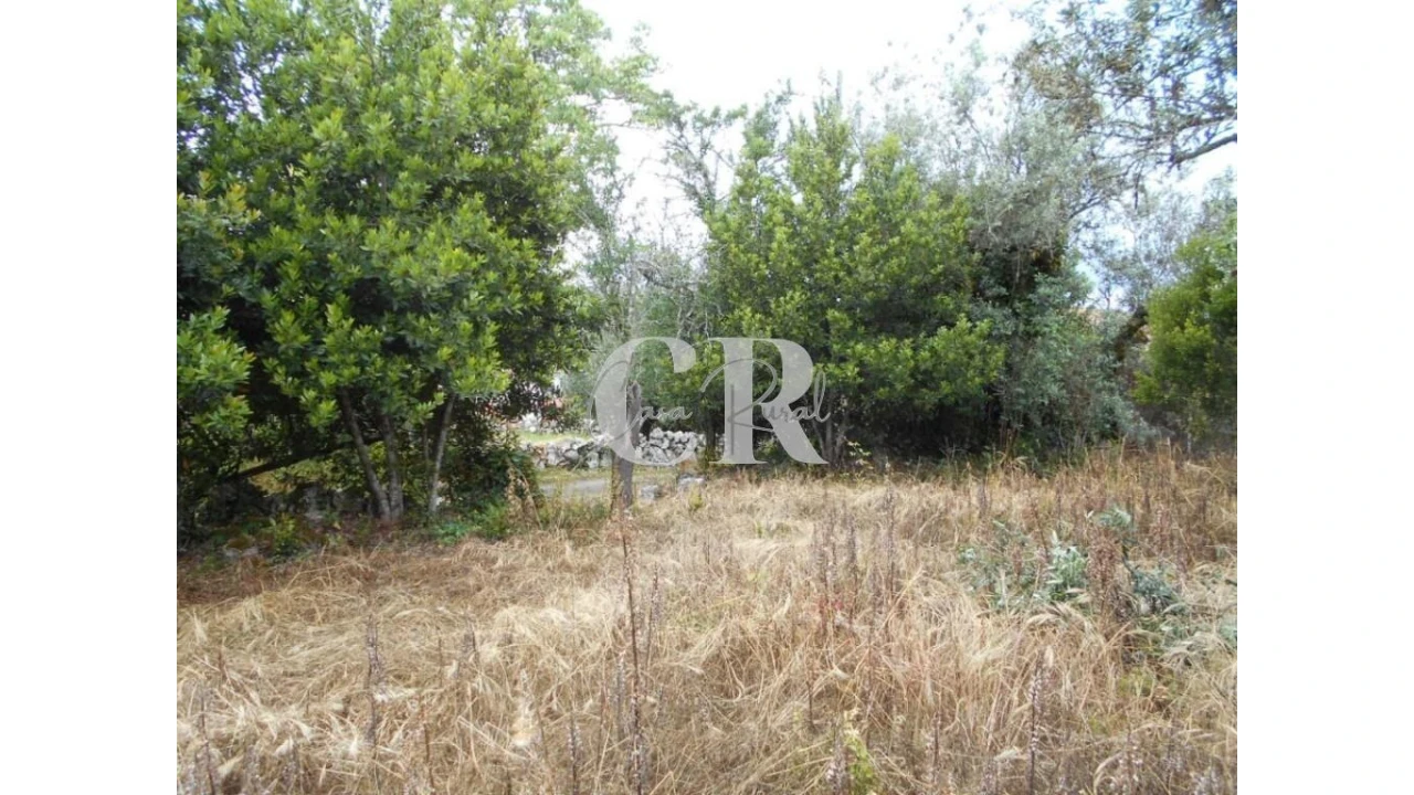 Terreno para Venda em Santiago da Guarda Foto 15