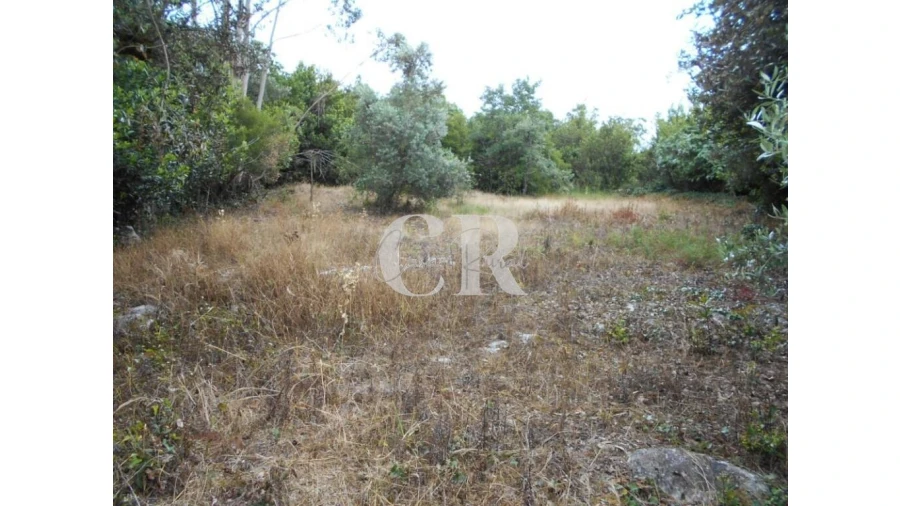 Terreno para Venda em Santiago da Guarda Foto 19