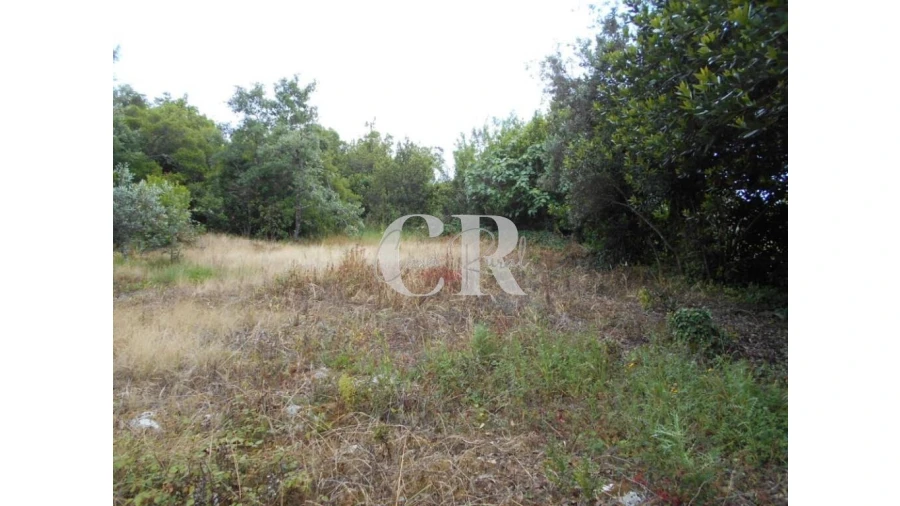 Terreno para Venda em Santiago da Guarda Foto 10