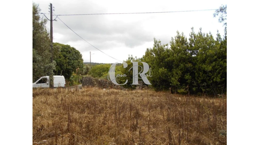 Terreno para Venda em Santiago da Guarda Foto 9