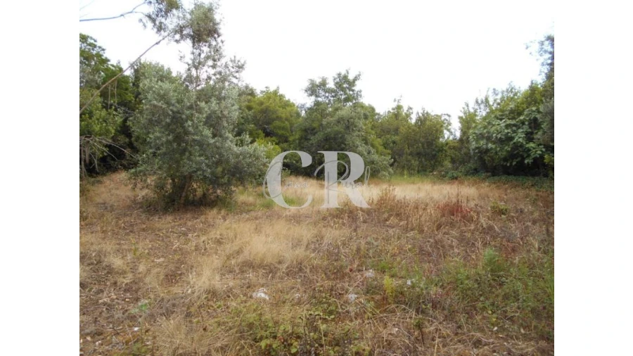 Terreno para Venda em Santiago da Guarda Foto 3