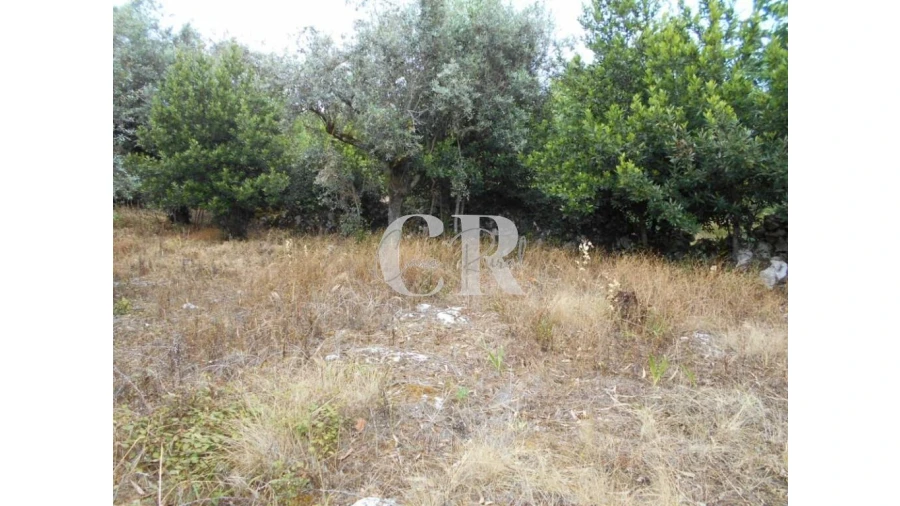 Terreno para Venda em Santiago da Guarda Foto 6