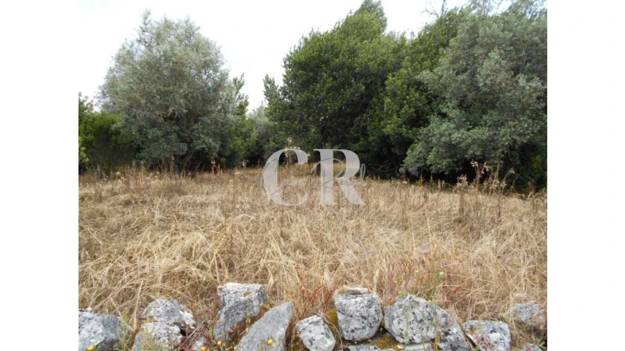 Terreno para Venda em Santiago da Guarda Foto 8
