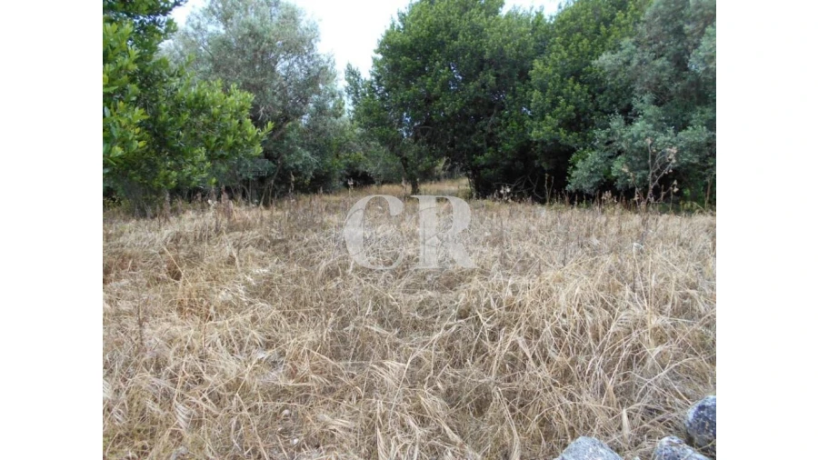 Terreno para Venda em Santiago da Guarda Foto 16