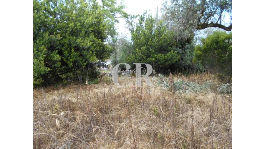 Terreno para Venda em Santiago da Guarda Foto 17