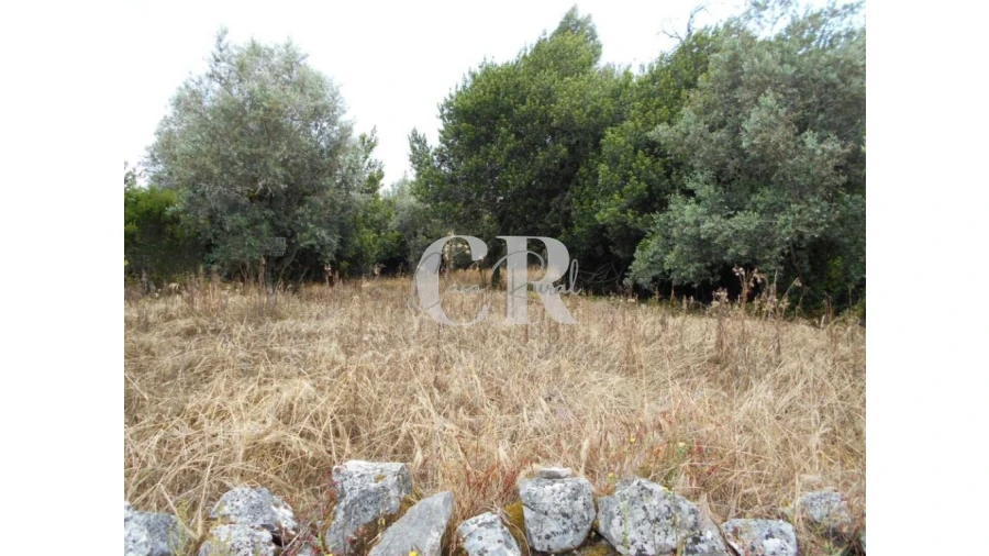 Terreno para Venda em Santiago da Guarda Foto 2
