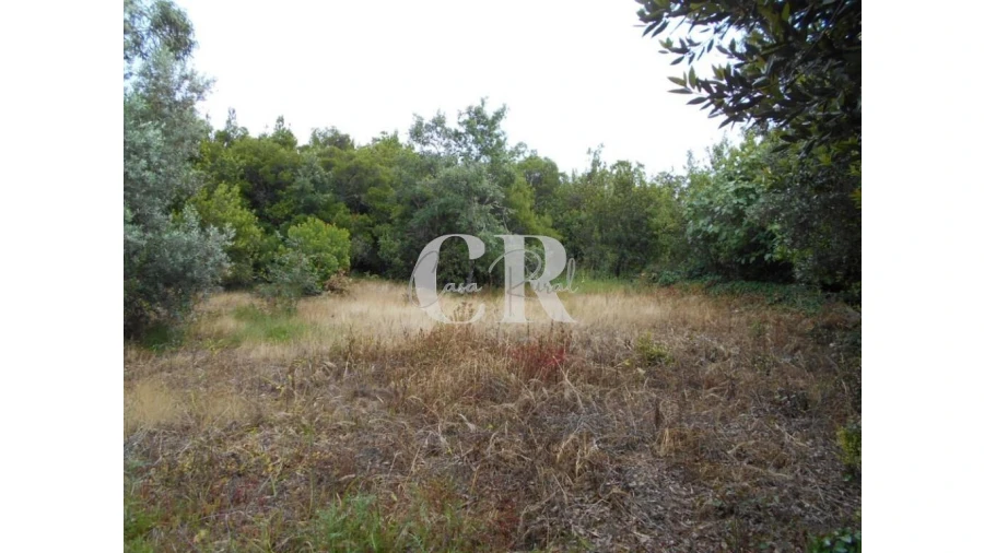 Terreno para Venda em Santiago da Guarda Foto 5