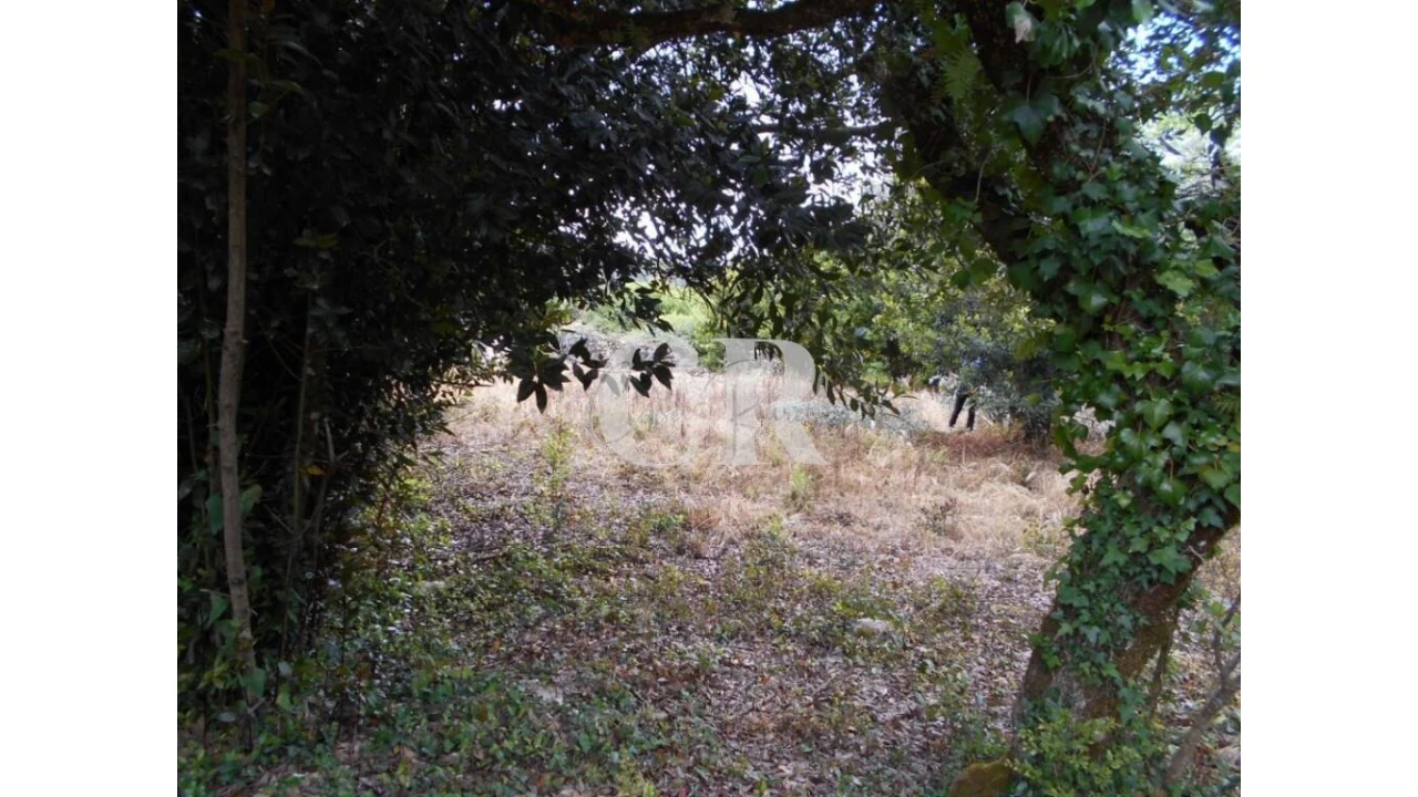 Terreno para Venda em Santiago da Guarda Foto 12