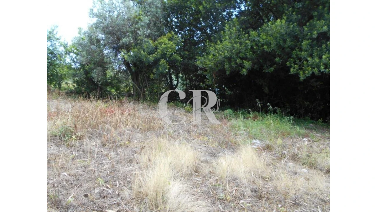 Terreno para Venda em Santiago da Guarda Foto 13