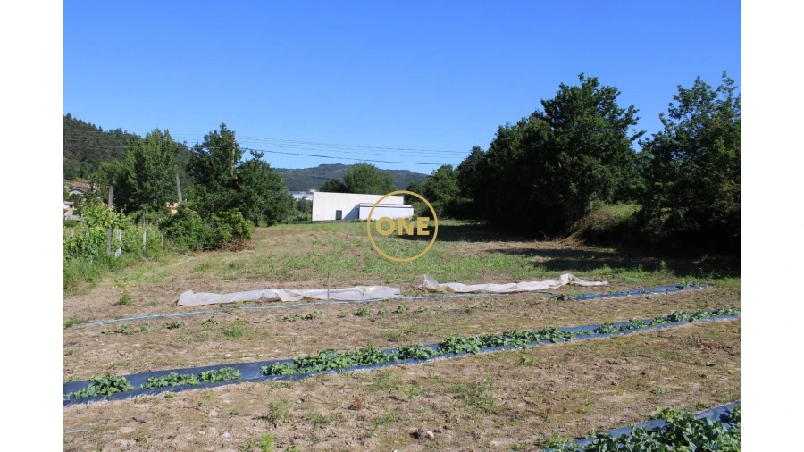 Terreno para Venda em Gême Foto 10