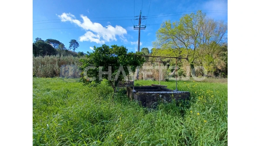 Terreno Agricola ou Rústico para Venda em Carregueiros Foto 6