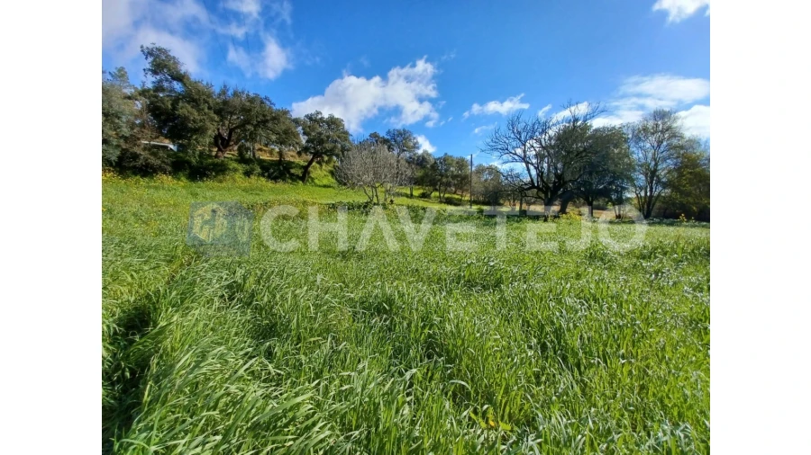 Terreno Agricola ou Rústico para Venda em Carregueiros Foto 2