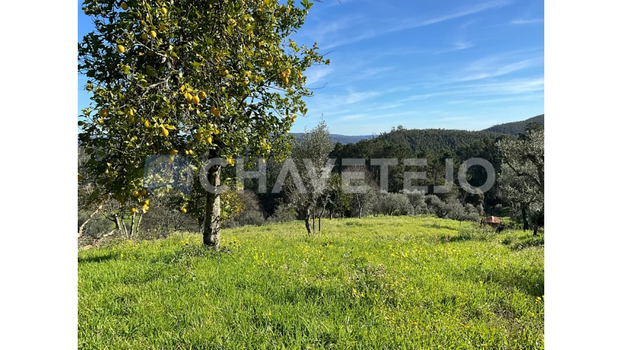 Moradia T2 para Venda em Arega Foto 9