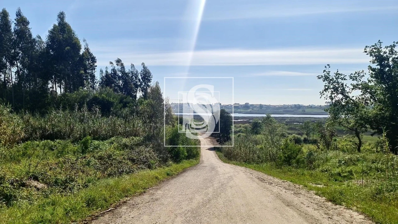 Terreno para Venda em Soza Foto 2