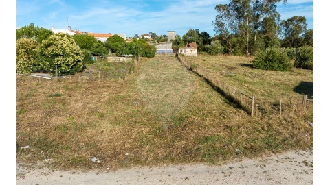 Terreno para Venda em Alpiarça