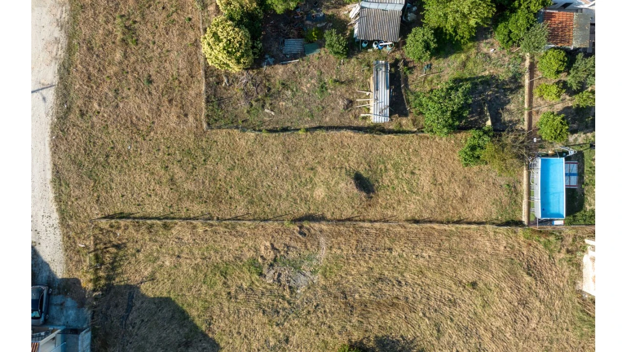 Terreno para Venda em Alpiarça Foto 6