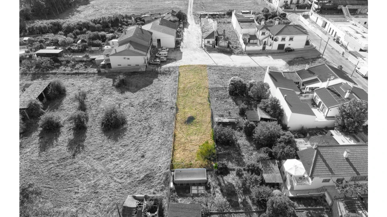 Terreno para Venda em Alpiarça Foto 9