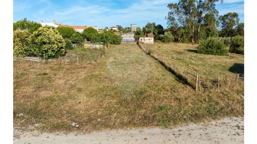 Terreno para Venda em Alpiarça Foto 18