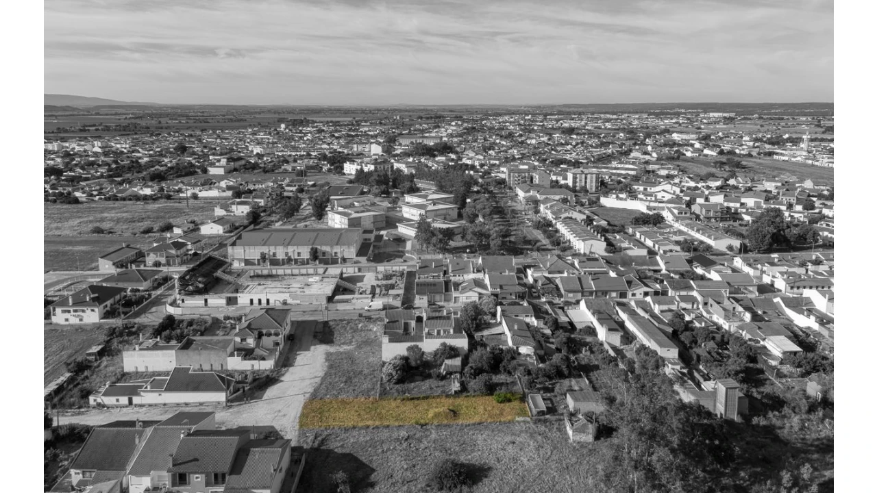 Terreno para Venda em Alpiarça Foto 3