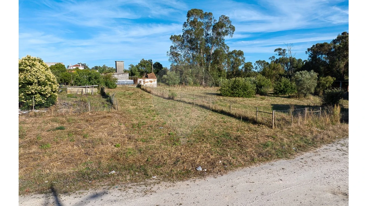 Terreno para Venda em Alpiarça Foto 19