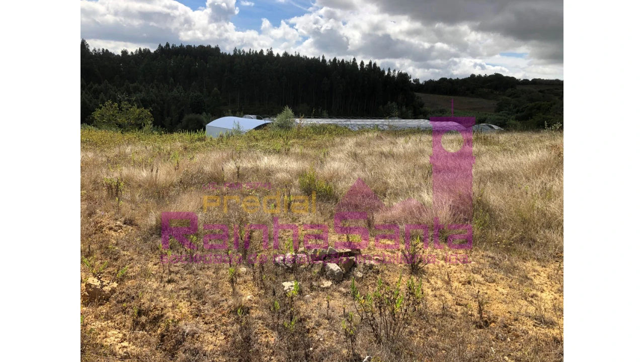 Terreno para Venda em Samuel Foto 27