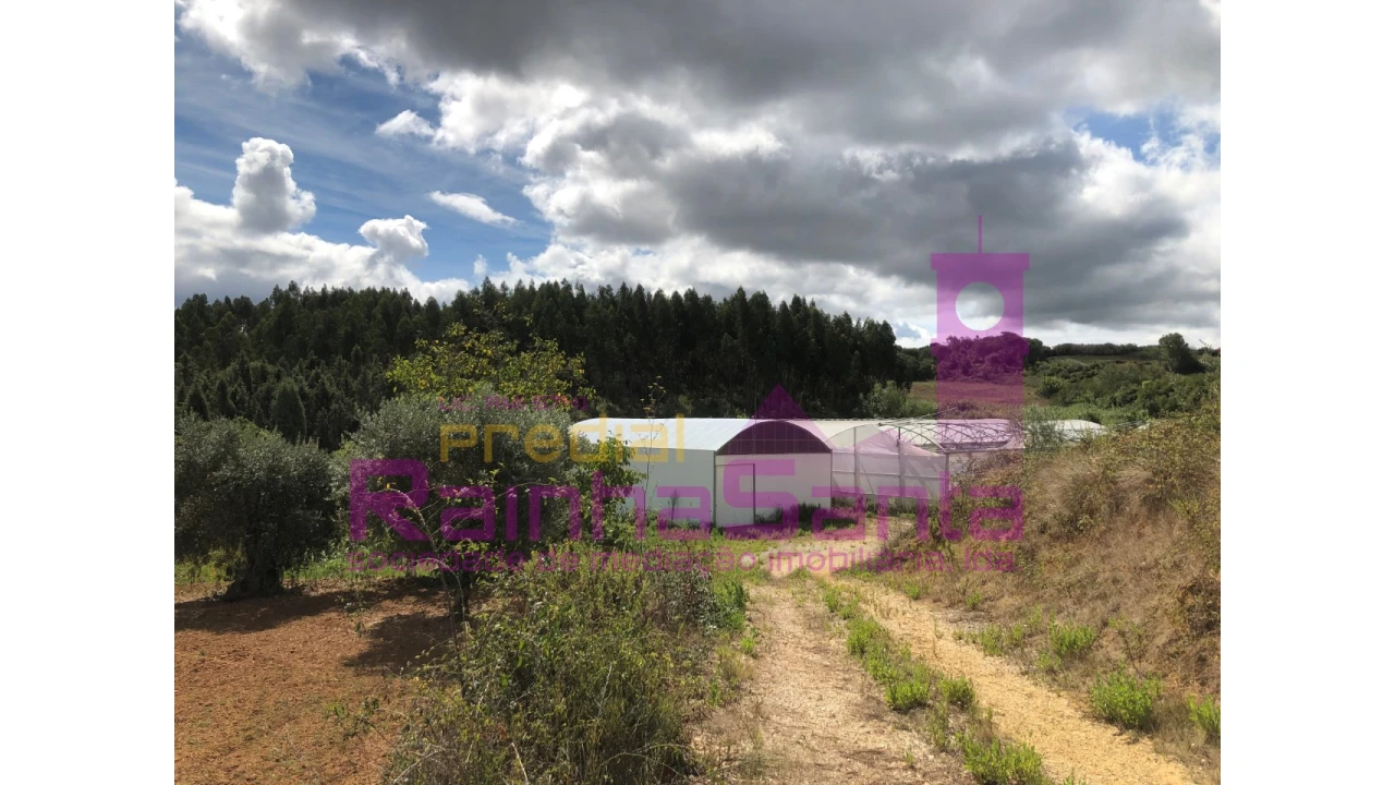 Terreno para Venda em Samuel Foto 1