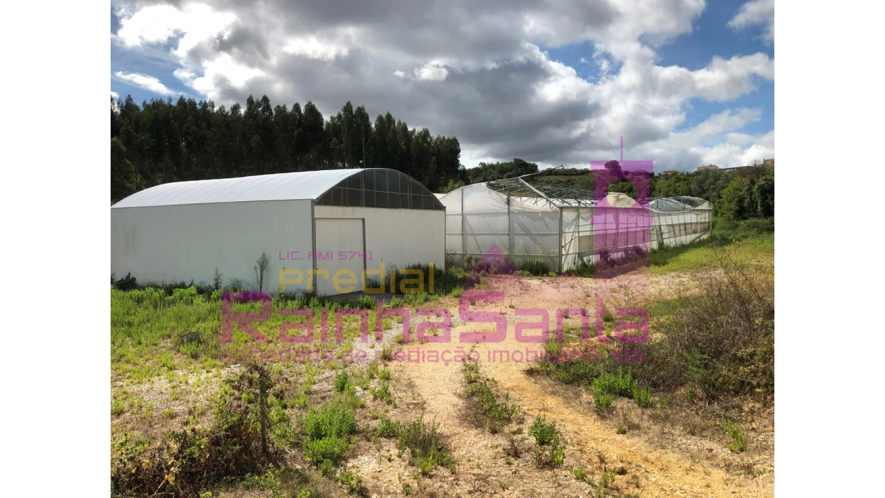 Terreno para Venda em Samuel Foto 2