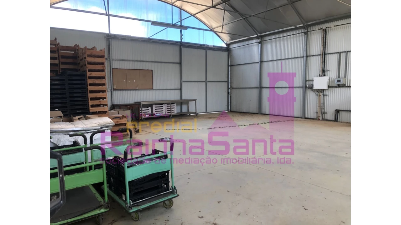 Terreno para Venda em Samuel Foto 21