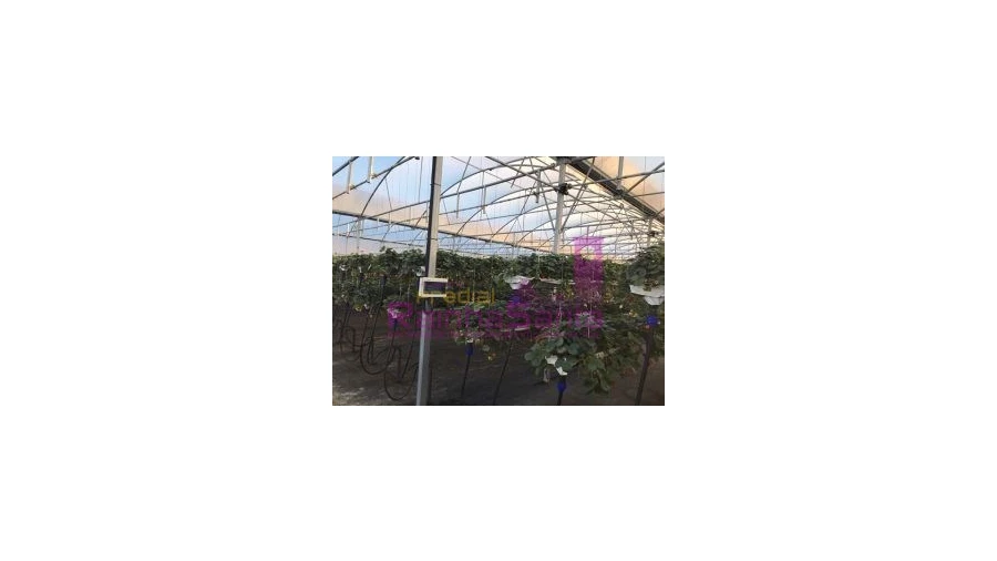 Terreno para Venda em Samuel Foto 17