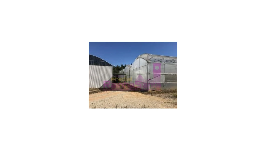 Terreno para Venda em Samuel Foto 5