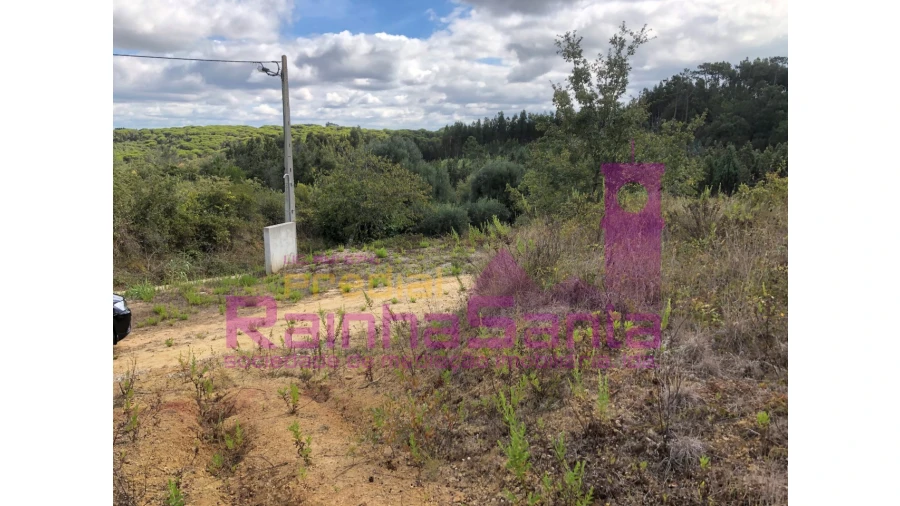 Terreno para Venda em Samuel Foto 26