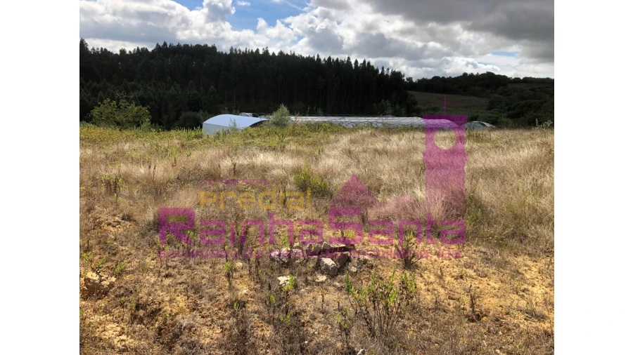 Terreno para Venda em Samuel Foto 27