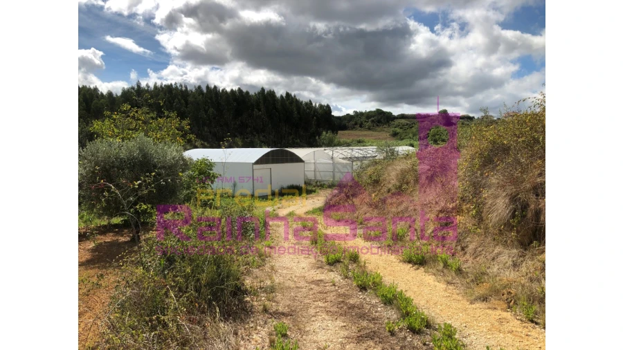 Terreno para Venda em Samuel Foto 28