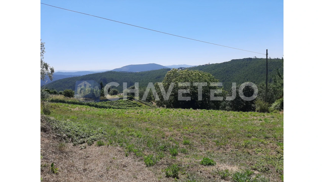 Terreno para Venda em Beco Foto 7
