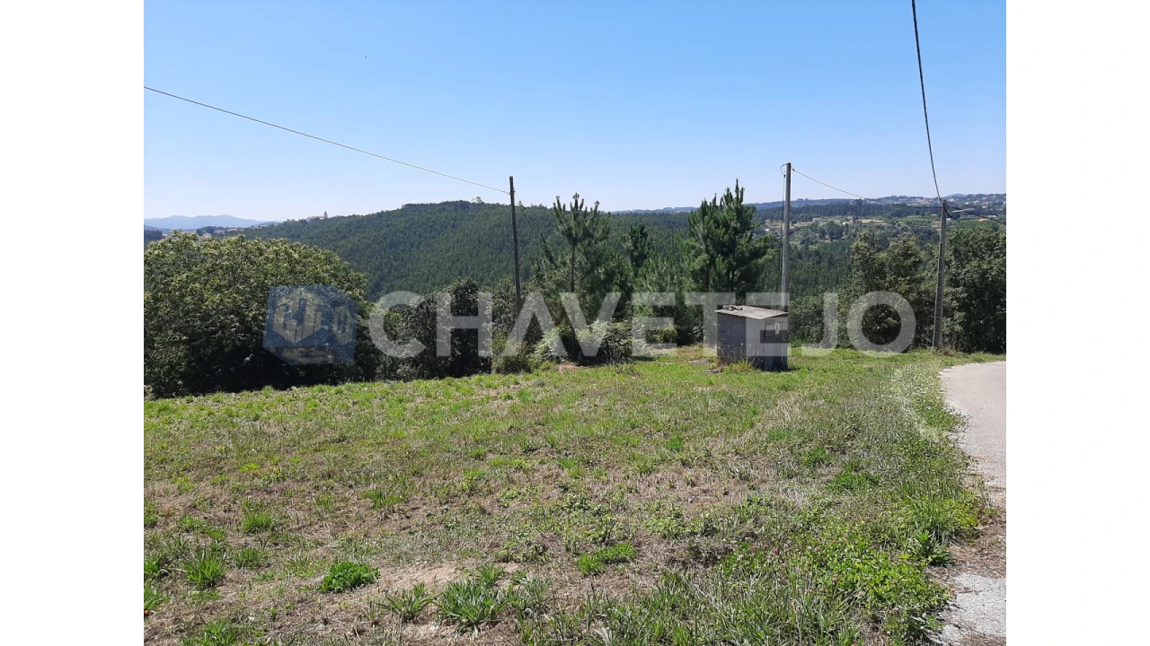 Terreno para Venda em Beco Foto 8
