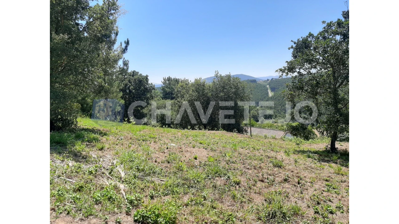 Terreno para Venda em Beco Foto 12