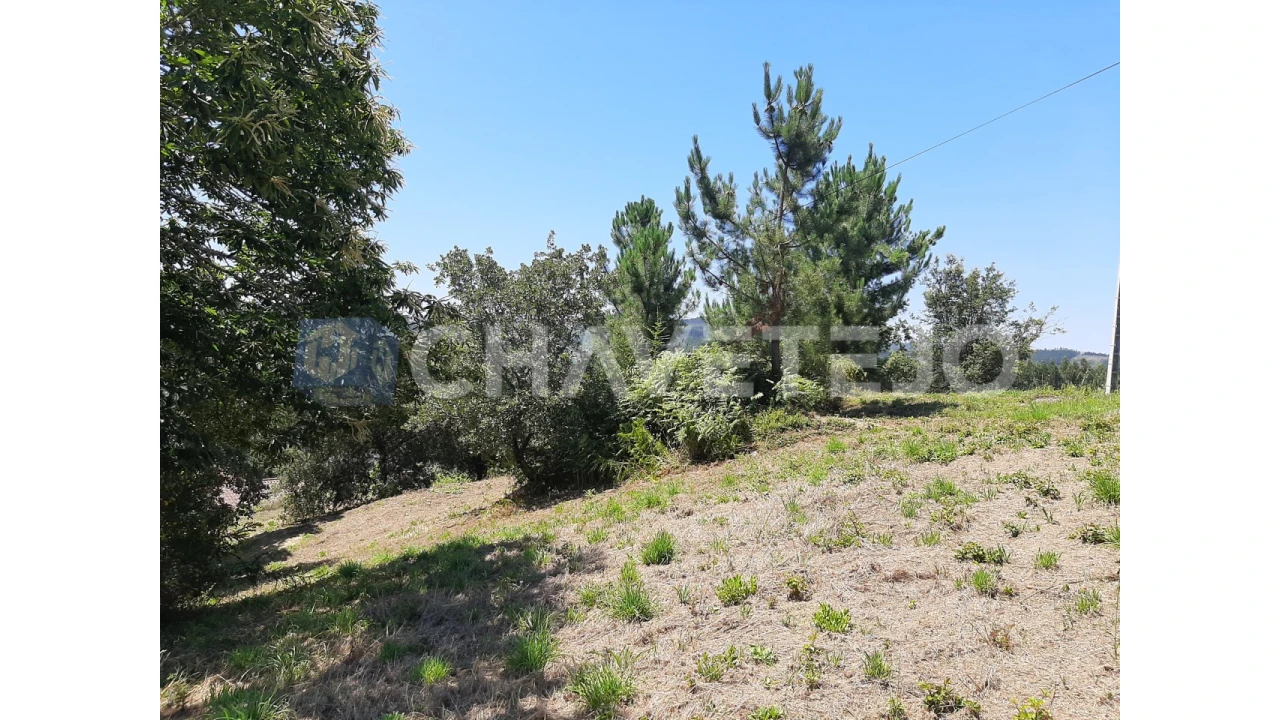 Terreno para Venda em Beco Foto 14