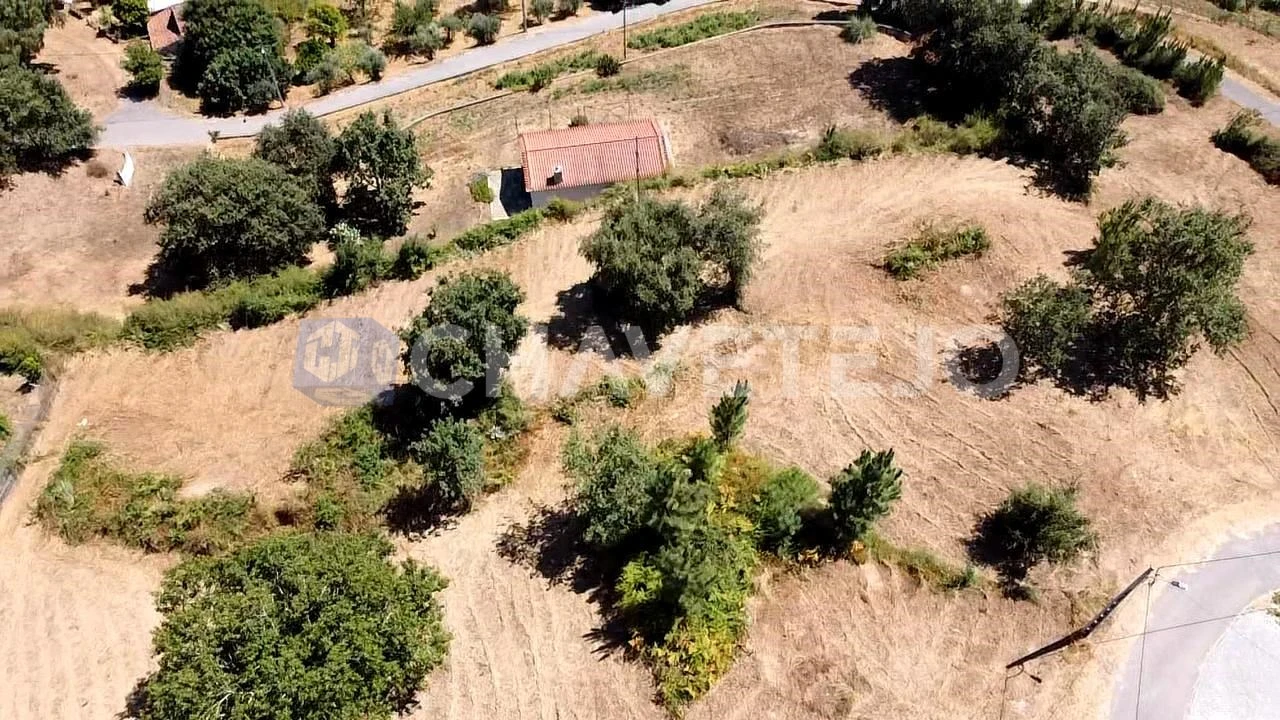 Terreno para Venda em Beco Foto 17