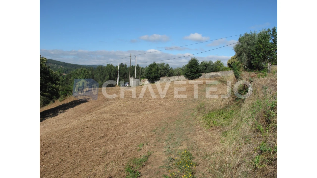 Terreno para Venda em Beco Foto 18