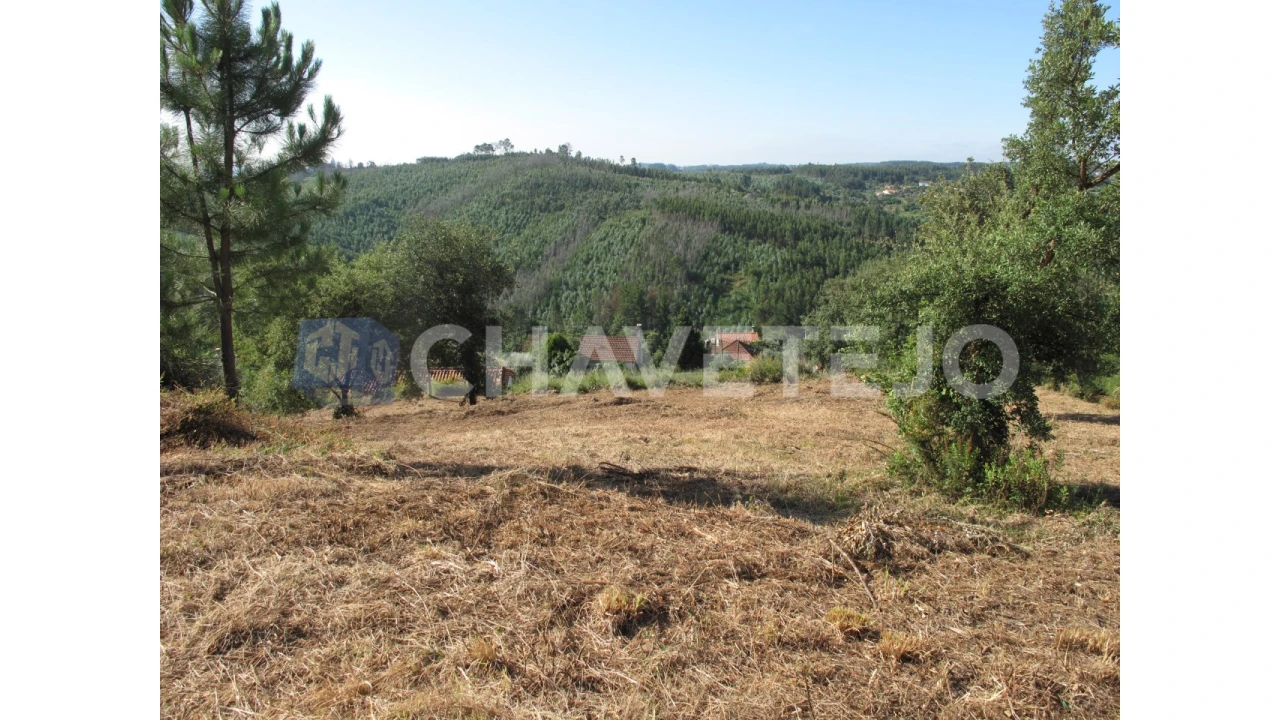 Terreno para Venda em Beco Foto 21