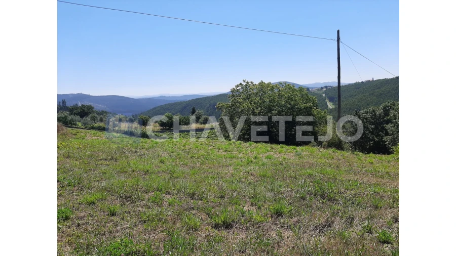 Terreno para Venda em Beco Foto 6
