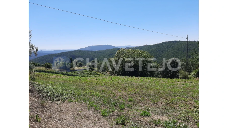 Terreno para Venda em Beco Foto 7