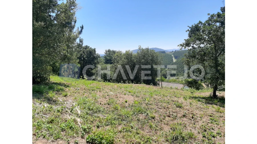 Terreno para Venda em Beco Foto 12