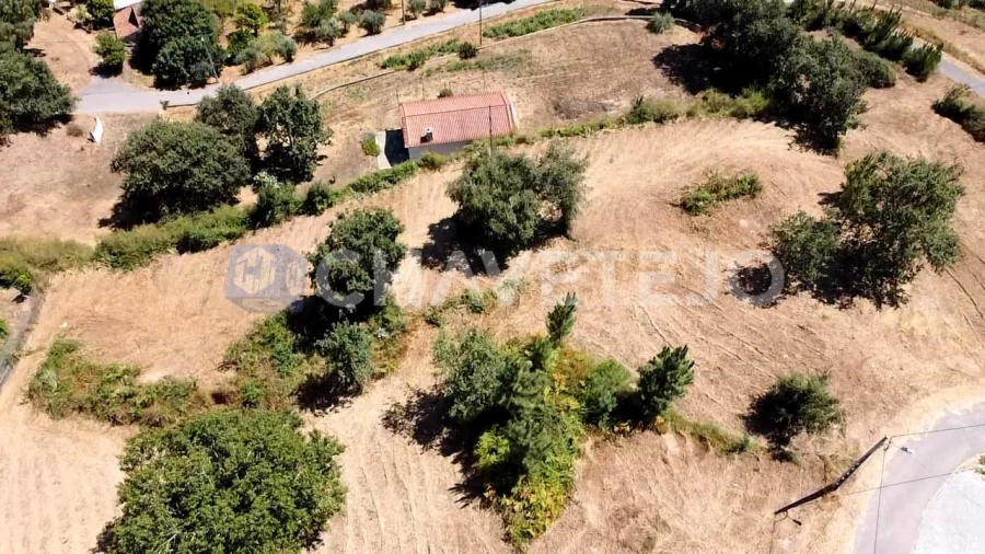 Terreno para Venda em Beco Foto 17