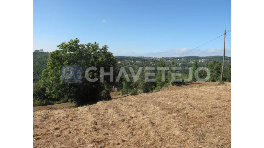 Terreno para Venda em Beco Foto 20