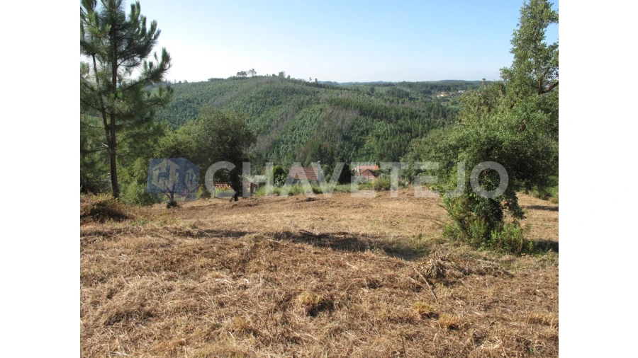 Terreno para Venda em Beco Foto 21