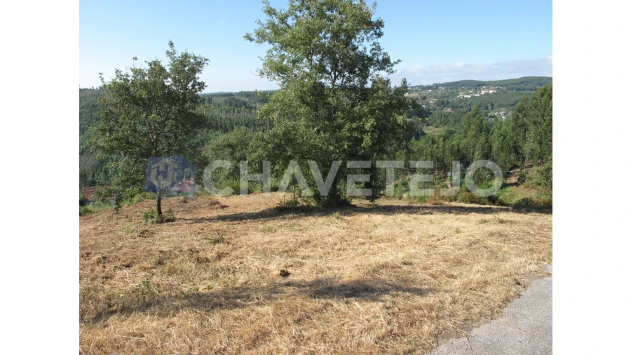 Terreno para Venda em Beco Foto 22